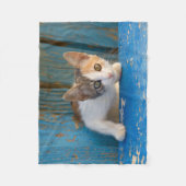 Cute Calico Cat Kitten Funny Curious Eyes Foto __ Fleece Deken (Voorkant)