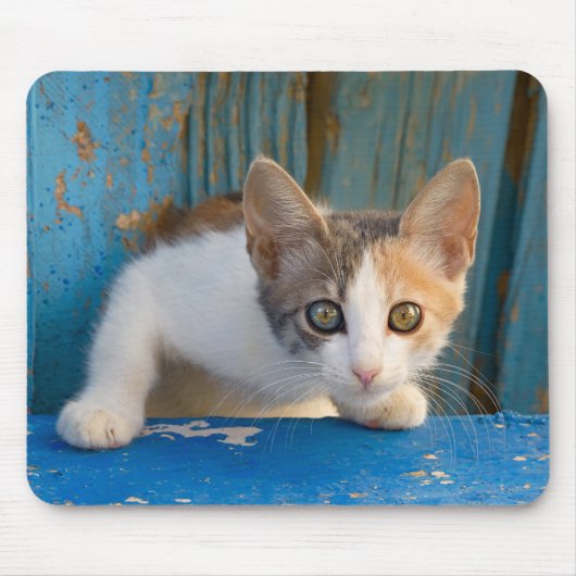 Cute Calico Cat Kitten Funny Curious Eyes Foto Muismat (Voorkant)