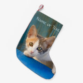 Cute Calico Cat Kitten Funny Curious Eyes - Naam - Kleine Kerstsok (Voorkant (Hangend))