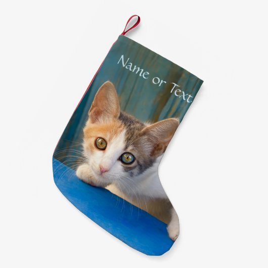 Cute Calico Cat Kitten Funny Curious Eyes - Naam - Kleine Kerstsok (Voorkant (Hangend))