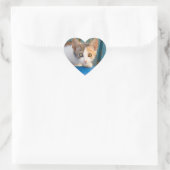 Cute Calico Cat Kitten Funny Curious Eyes Photo — Hart Sticker (Tas)