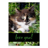 Cute Calico Cat Love Greeting (Voorkant)