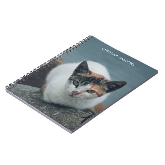 Cute Calico Cat Personalized Notitieboek (Linkerzijde)
