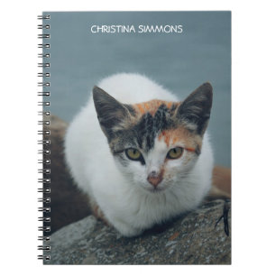 Cute Calico Cat Personalized Notitieboek