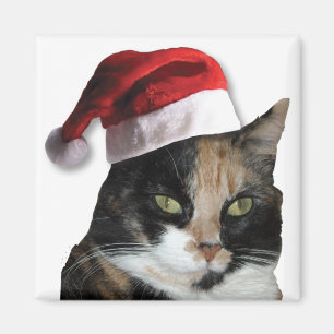 Cute Calico Cat Wearing Santa Hat Magneet