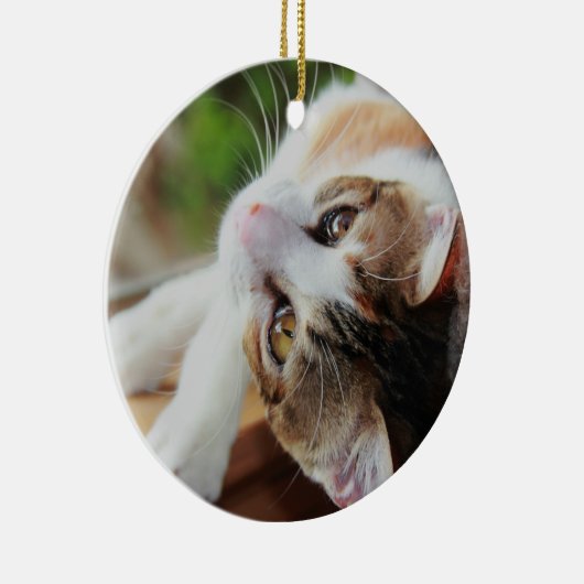 Cute Calico Kitten kerstversiering Keramisch Ornament (Rechts)