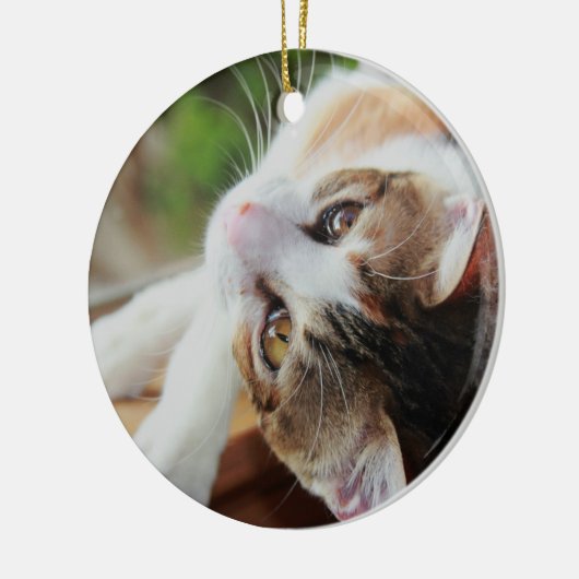 Cute Calico Kitten kerstversiering Keramisch Ornament (Links)