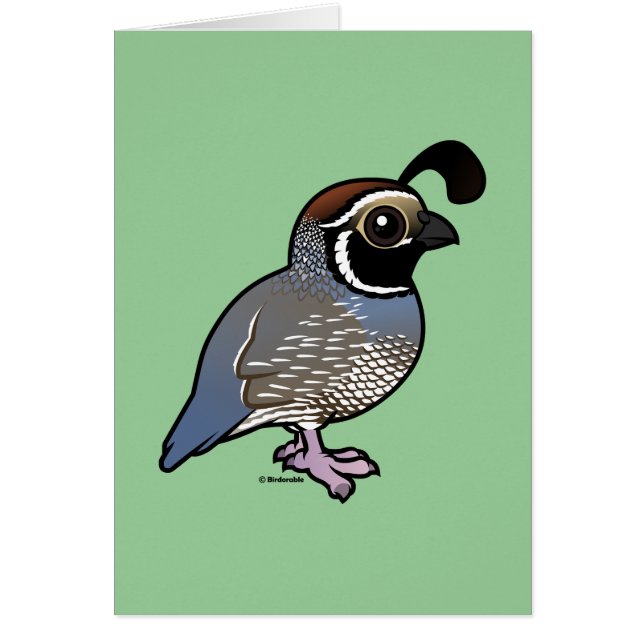 Cute California Quail (Voorkant)