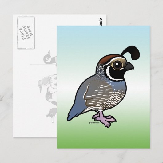 Cute California Quail Briefkaart (Voorkant / Achterkant)