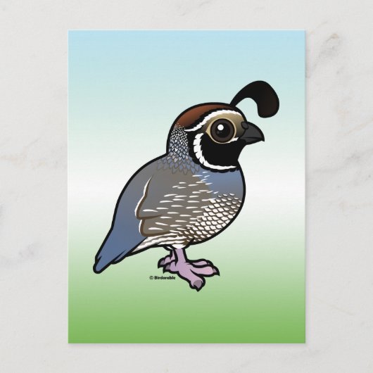 Cute California Quail Briefkaart (Voorkant)