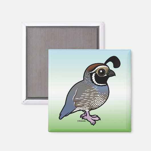 Cute California Quail Magneet (Voorkant / Achterkant)