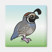 Cute California Quail Magneet (Voorkant)