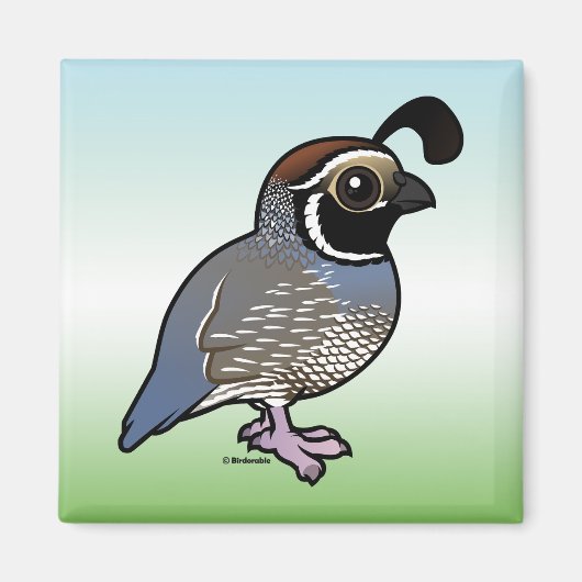 Cute California Quail Magneet (Voorkant)