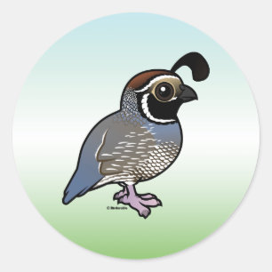 Cute California Quail Ronde Sticker
