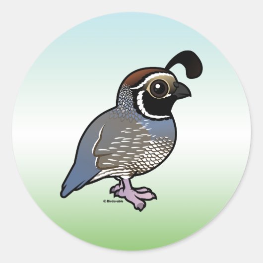 Cute California Quail Ronde Sticker (Voorkant)