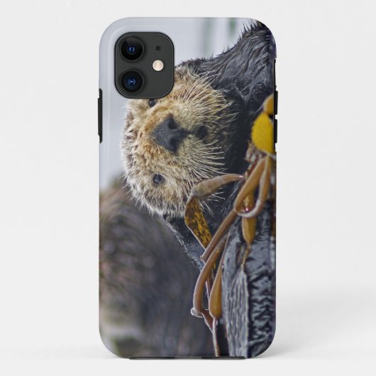 Cute California Zee Otter Enhydra lutris Case-Mate iPhone Case (Achterkant)