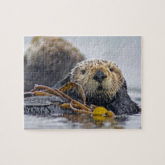 Cute California Zee Otter - Wildlife Photography Legpuzzel (Horizontaal)