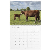 Cute Calves Kalender (Mar 2026)