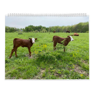 Cute Calves Kalender