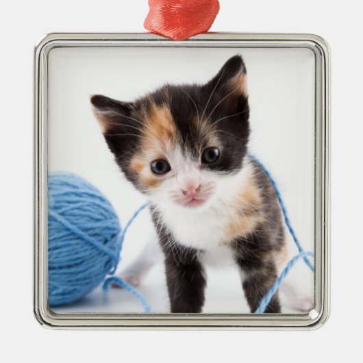 Cute Calypso Kitten en Blue Yarn Metalen Ornament (Voorkant)