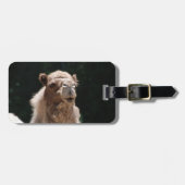 Cute Camel Bagagelabel (Voorkant horizontaal)