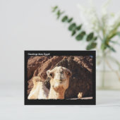 Cute Camel Briefkaart (Staand voorkant)