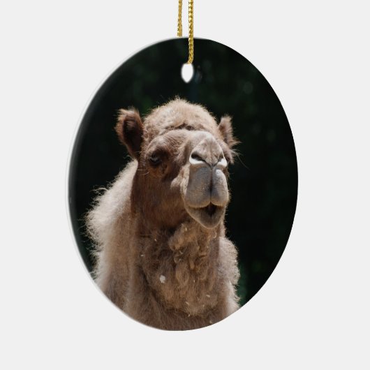 Cute Camel Keramisch Ornament (Rechts)
