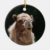 Cute Camel Keramisch Ornament (Voorkant)