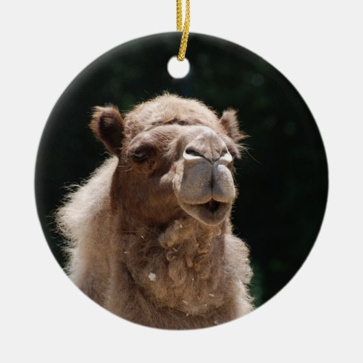 Cute Camel Keramisch Ornament (Voorkant)