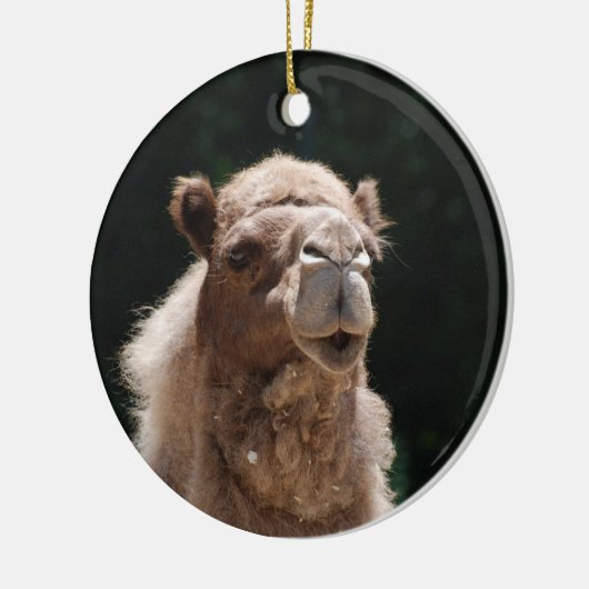 Cute Camel Keramisch Ornament (Links)