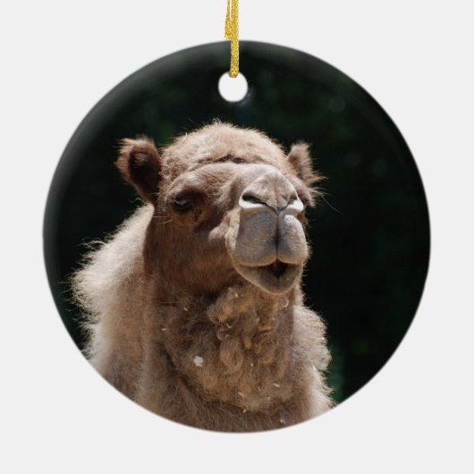 Cute Camel Keramisch Ornament (Achterkant)