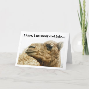 Cute Camel Photo Wenskaart Kaart