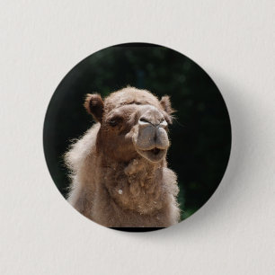 Cute Camel Ronde Button 5,7 Cm