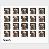 Cute Camel Vierkante Sticker (Vel)