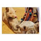 Cute Camels (Voorkant Horizontaal)