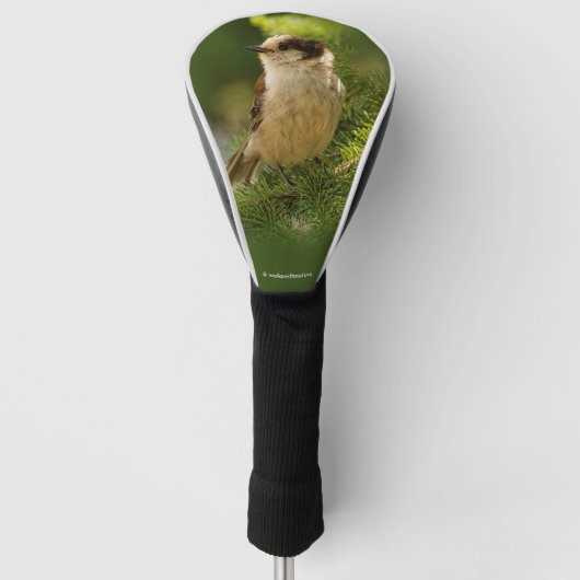 Cute Canada Gray / Grey Jay / Whiskeyjack Golfheadcover (Voorkant)