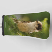 Cute Canada Gray / Grey Jay / Whiskeyjack Golfheadcover (Voorkant)