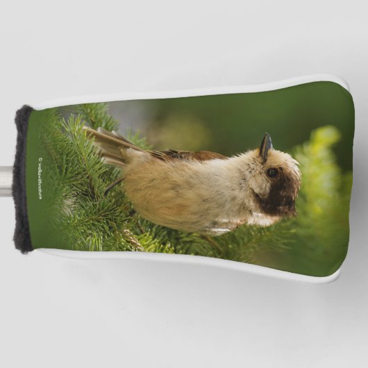 Cute Canada Gray / Grey Jay / Whiskeyjack Golfheadcover (Voorkant)