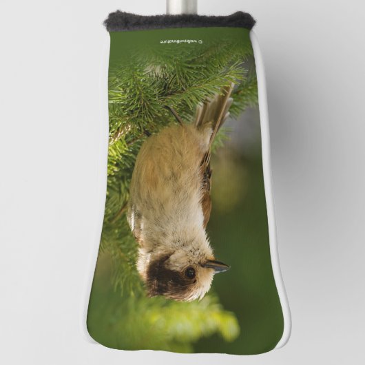 Cute Canada Gray / Grey Jay / Whiskeyjack Golfheadcover (Draai 90)