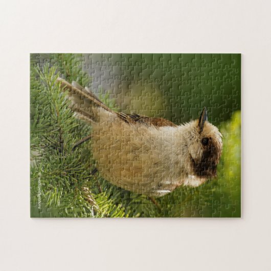 Cute Canada Jay / Grey Jay / Whiskeyjack Legpuzzel (Horizontaal)