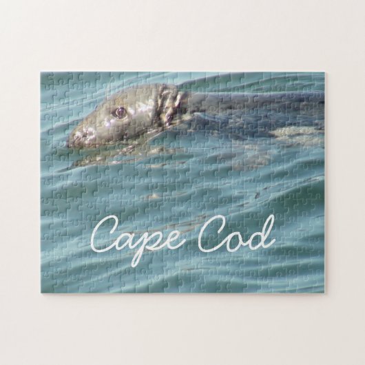 Cute Cape Cod Seal Photography Legpuzzel (Horizontaal)