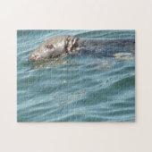 Cute Cape Cod Seal Photography Legpuzzel (Horizontaal)