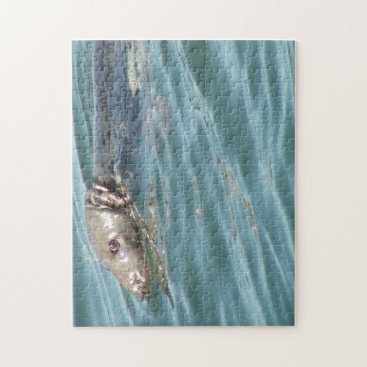 Cute Cape Cod Seal Photography Legpuzzel (Verticaal)