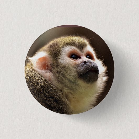 Cute Capuchin Monkey Face Ronde Button 3,2 Cm (Voorkant)