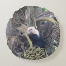 Cute Capuchin Monkey in Tree Round Pillow
