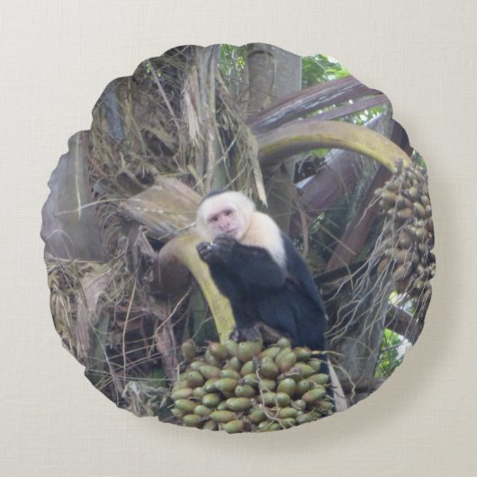 Cute Capuchin Monkey in Tree Round Pillow Rond Kussen (Voorkant)