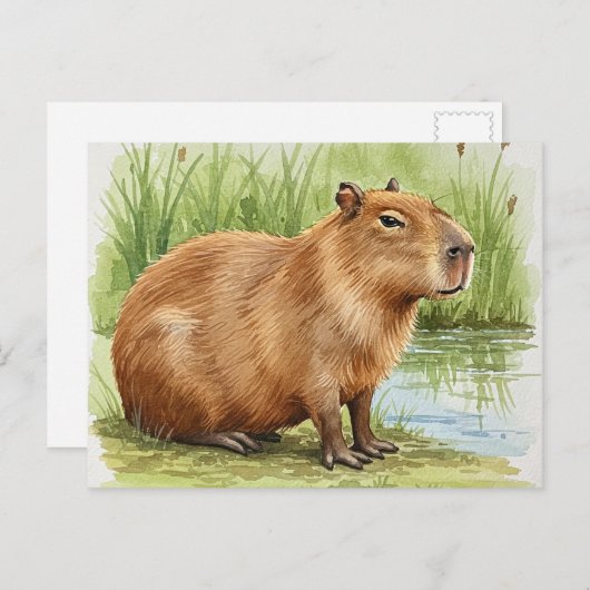 Cute Capybara Briefkaart (Voorkant / Achterkant)