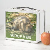 Cute Capybara Dreams in de zomer van de zon (In situ)