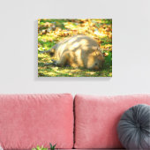 Cute Capybara Dreams in de zomer van de zon Canvas Afdruk (Insitu (Woonkamer))