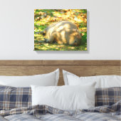 Cute Capybara Dreams in de zomer van de zon Canvas Afdruk (Insitu (Slaapkamer))